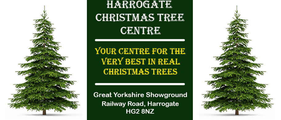 Why have a real Christmas tree - Harrogate